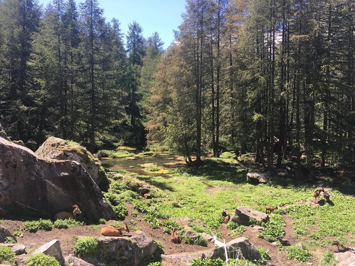 Bed and Breakfast Montagn'Arcs Bourg-Saint-Maurice Francia